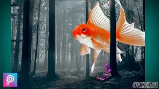 Me and fish 2 _ edit foto _ manipulasi