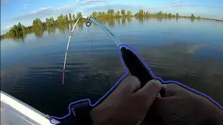 Сом 19 кг. 2 трофея за час! Так бывает!!!)