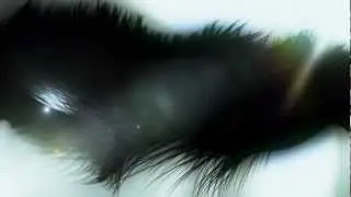 Trapcode Particular 2 Experiments - 06 - Phenomenon
