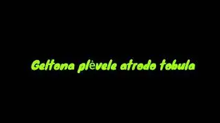 Rajono Kunigas - Rudu ritmu (Teaser) lyric video