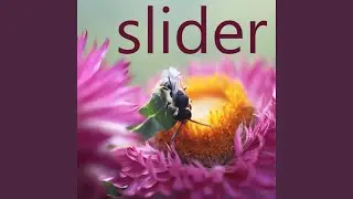 Slider