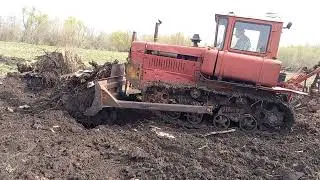 Дт-75 корчует