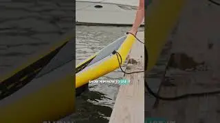 Take Your Dog Boating: Swimming & Reboarding | BoatUS