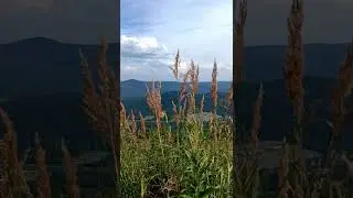 Летний Шерегеш