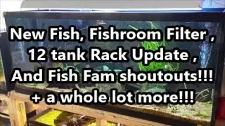 Fishroom Filter, New Fish, 12 Tank Rack update , And Fish Fam shoutouts! Plus a whole lot more!!!!