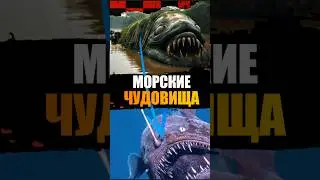 Под километрами тьмы не просто вода 🌊 Учёные изучили лишь 0.001% океана…Остальное неизвестность.