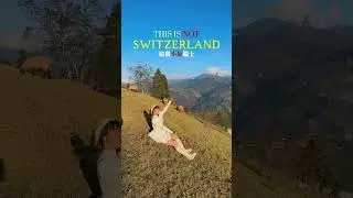 SWITZERLAND or TAIWAN⁉️😯 #taiwan #travel #farmer