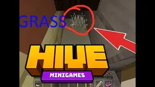 How to find the secret grass in the Hive hub