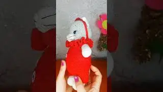 котик