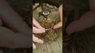 Magnifying Glass TRICK ☀️🔥 #survival #bushcraft #camping