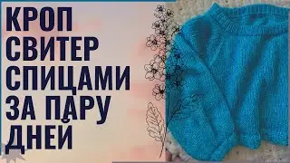 Кроп свитер за пару дней  | Изделие от Шальной Императрицы |