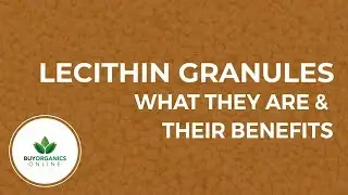 What Lecithin Granules are and their Benefits by Buy Organics Online