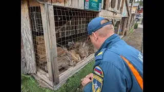 Сытный сюрприз от МЧС России