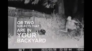 Видео с пришельцами в Лас-Вегасе