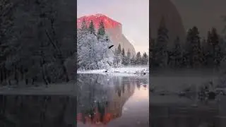 Snow effect black screen | Snow overlay | Black screen snow effects | Snow effects | Snow falling