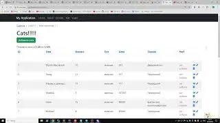 php level 2 (OOP). lesson 14. Yii2. Создаем экшен для создания котов пачками