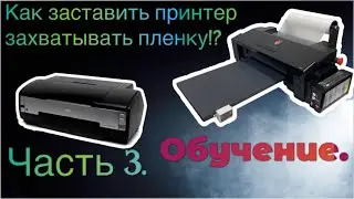 Часть 3. DTF принтер А3+. Не захватывает пленку.