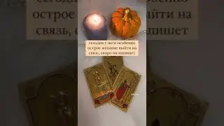 #таро
