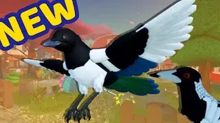 MAGPIES ARE HERE ON FEATHER FAMILY!!!! AAAAAA!!!