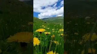 Плато Асы СУПЕР ПРИРОДА
