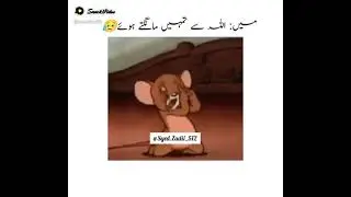 Jerry Innocent Reaction