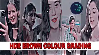 1 click & brown colour grading  || HDR brown colour grading in  alight motion ||
