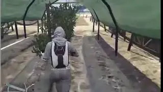 Grand Theft Auto V مع abodstop