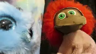 Random Bird ASMR Conspiracy Black Horse Immunity in Finland