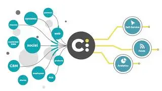 Get More From Your Customer Analytics: CI for Retail Overview