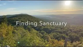 Finding Sanctuary