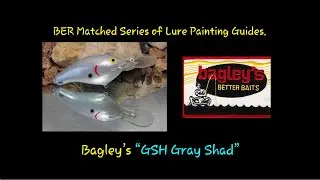 BER Matched Bagley Series "GSH Gray Shad"