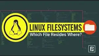 Linux File System, Which Directory Stores What?
