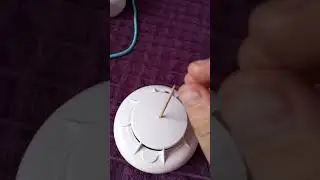 8 июня 2024 г.