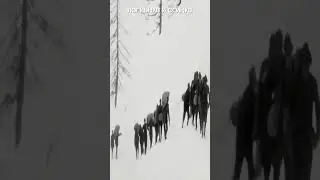SABATON - Soldier Of Heaven (rus cover) 2024