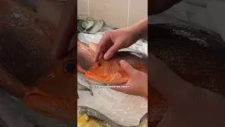 3 Tips on Choosing Fresh Fish 