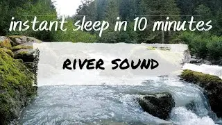 3 Hours of Bliss: Relax to the Calming Sounds of a Gentle Stream