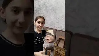 новый друг в новом доме!