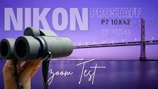 Nikon Prostaff P7 10X42 Binoculars - Live view of Power and Sharpness! | BEST BIRDING BINOCULARS