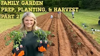 Growing a Garden- Part 2- Planting