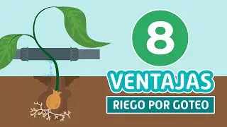 Riego por goteo ventajas