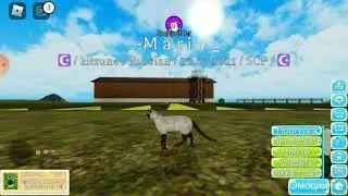{Roblox} Farm World обзор семской кошки