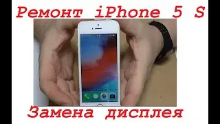 iPhone 5S repair. Display replacement.