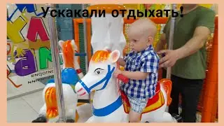 Устроили выходной!