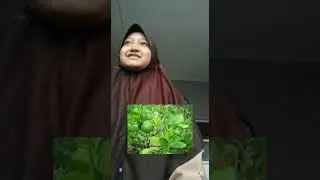 Belajar Nama Latin Organisme #science #ipaclasswithmsmira