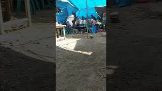 makan di acara nikahan, rewang orang desa