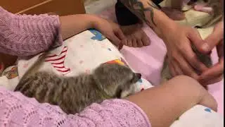IMG 1334