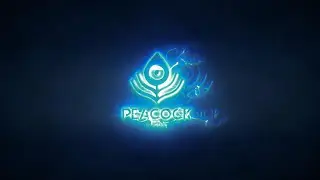 PEACOCK DJ ARTIST 2023 - 2024