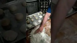 PASTA PARA CONCHA