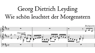 Leyding - Wie schön leuchtet der Morgenstern - Schnitger organ, Martinikerk, Groningen, Hauptwerk