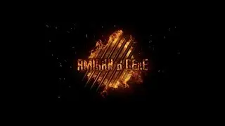 Амиран в деле